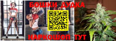 мдпв Новодвинск