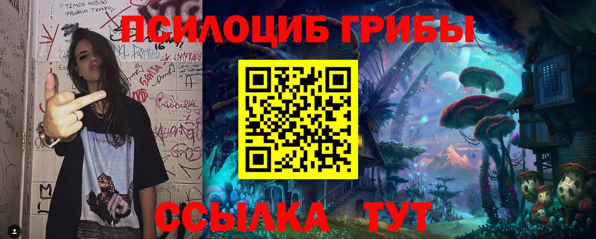 Псилоцибиновые грибы Magic Shrooms Тимашёвск