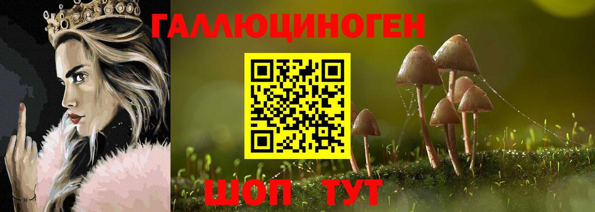 Псилоцибиновые грибы Magic Shrooms  Псилоцибиновые грибы Psilocybe  Тимашёвск  Вход с VPN 